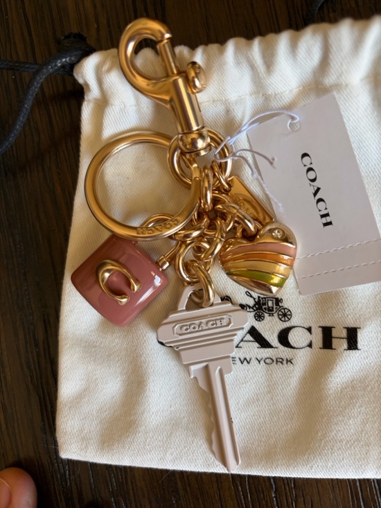 Coach Accessories - Coach Gold-tone Key Charm with Pink Enamel & Rainbow Heart Accents W/Dust Bag